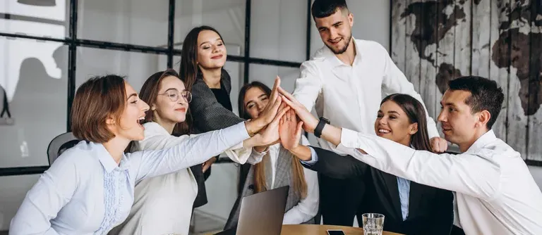 Project Support – image card: Work as One Delivery Team